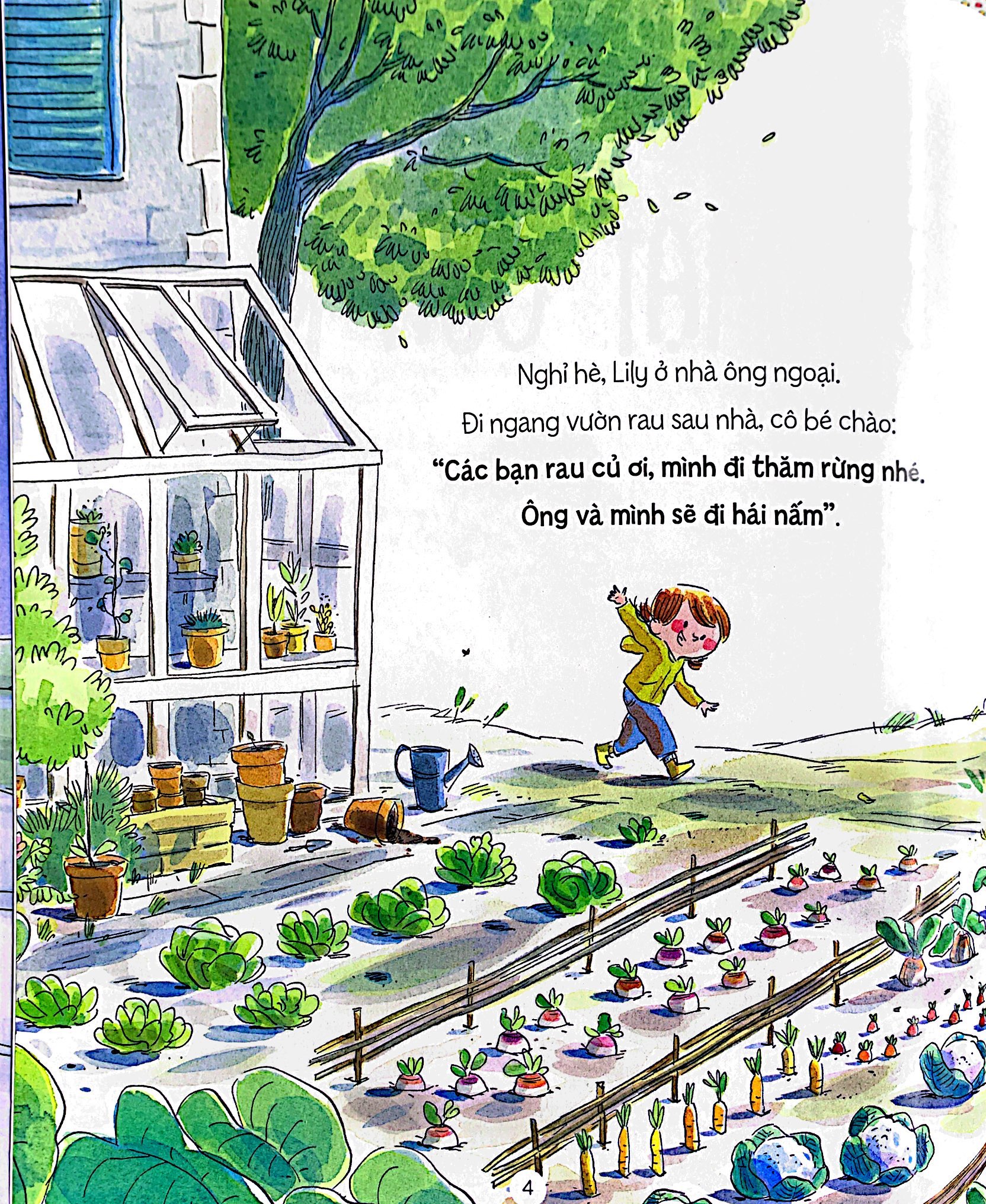 bí mật của rừng - the forest secret - Ảnh 4