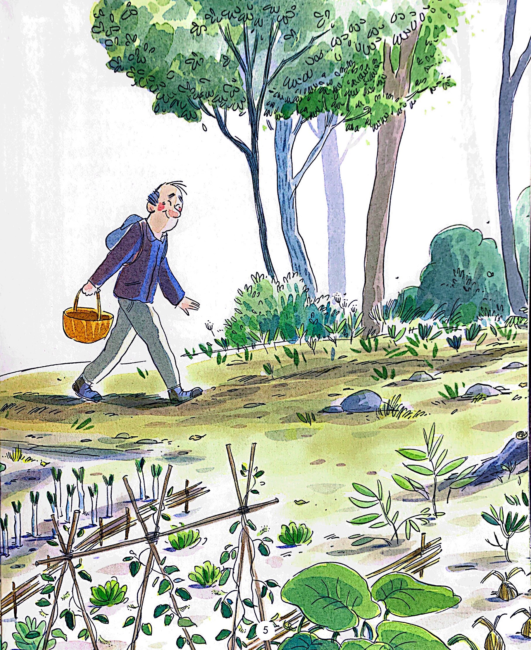 bí mật của rừng - the forest secret - Ảnh 5