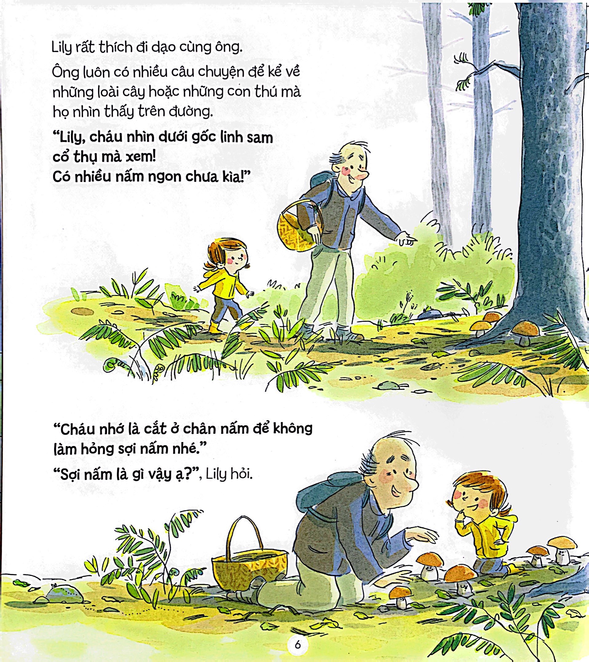 bí mật của rừng - the forest secret - Ảnh 6