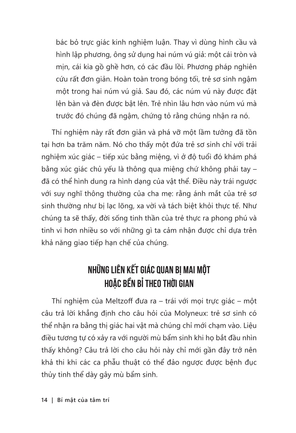 Bí Mật Của Tâm Trí - Cách Não Bộ Suy Nghĩ, Cảm Nhận Và Ra Quyết Định - Ảnh 10