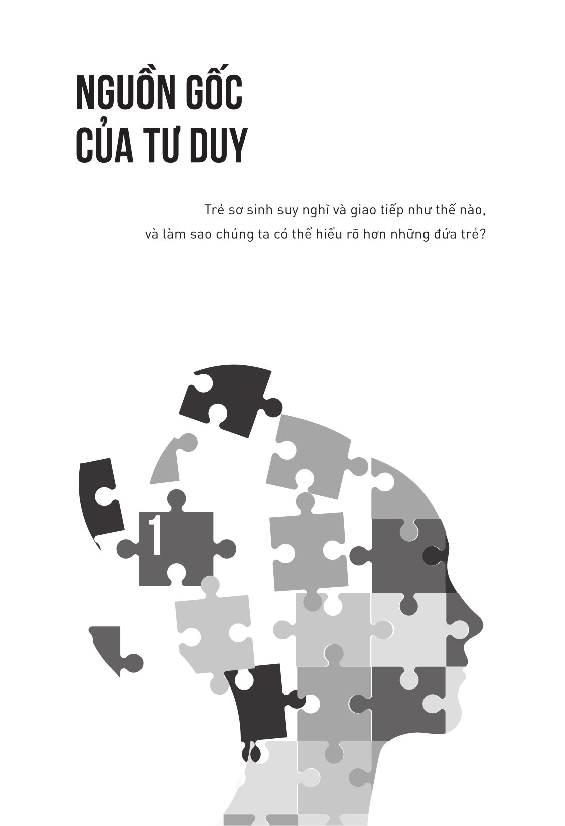 Bí Mật Của Tâm Trí - Cách Não Bộ Suy Nghĩ, Cảm Nhận Và Ra Quyết Định - Ảnh 5