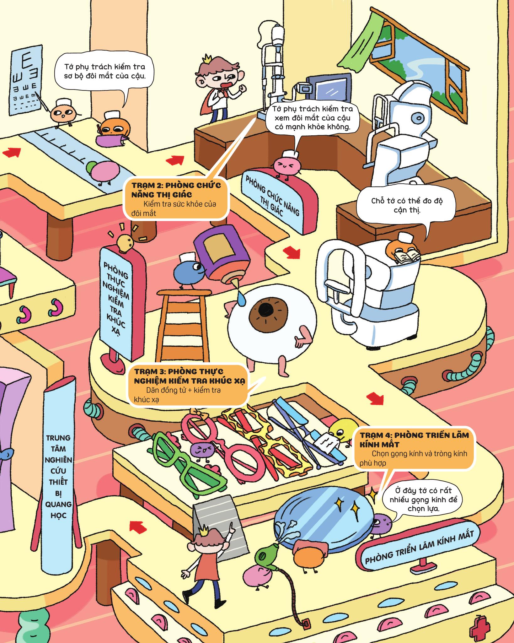 Bí Mật Đôi Mắt - Các Loại Mắt Kính - Ảnh 7