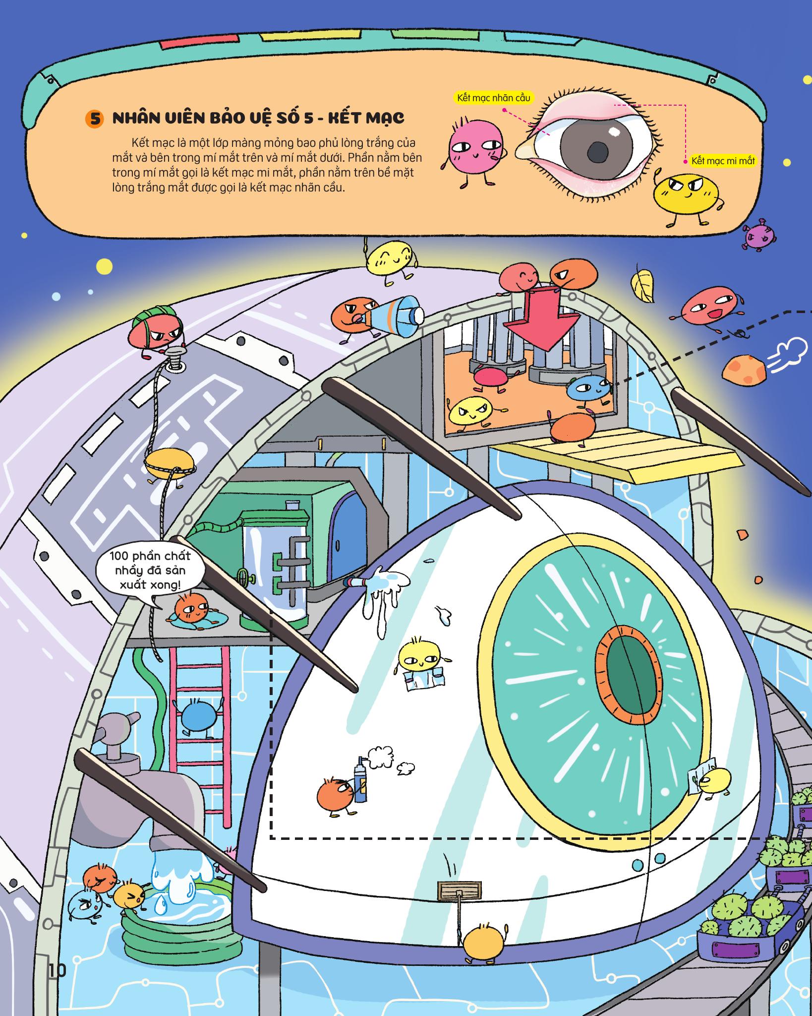 Bí Mật Đôi Mắt - Thám Hiểm Hành Tinh Mắt - Ảnh 10