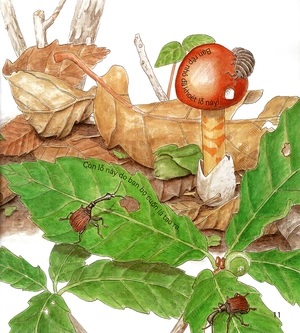 bí mật những chiếc lỗ (tái bản 2019) - Ảnh 10