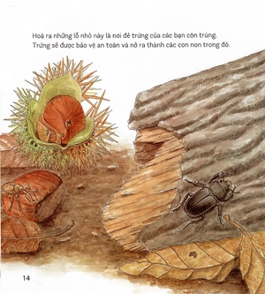 bí mật những chiếc lỗ (tái bản 2019) - Ảnh 12