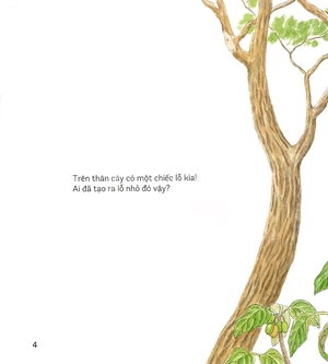 bí mật những chiếc lỗ (tái bản 2019) - Ảnh 3