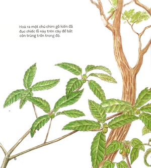 bí mật những chiếc lỗ (tái bản 2019) - Ảnh 5