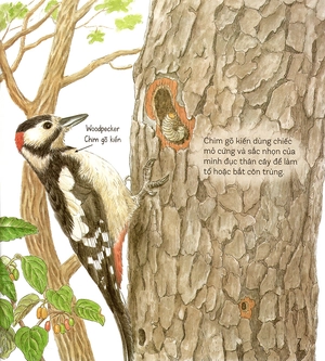 bí mật những chiếc lỗ (tái bản 2019) - Ảnh 6