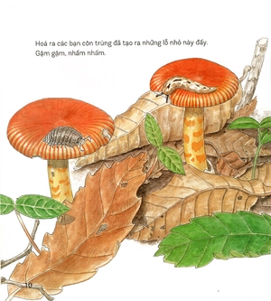 bí mật những chiếc lỗ (tái bản 2019) - Ảnh 9