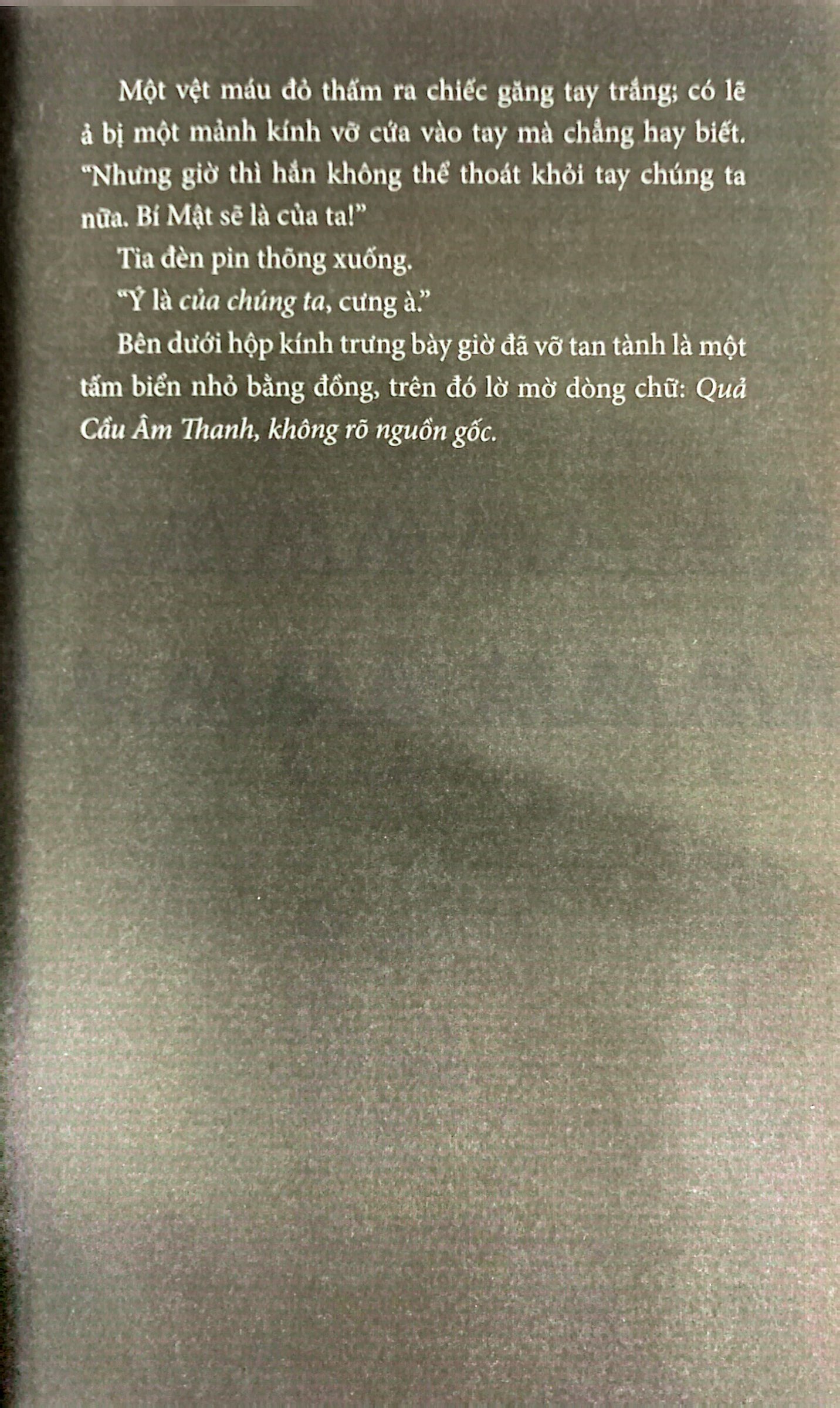 bí mật - tập 2 - đã quá muộn khi bạn đọc cuốn sách này - Ảnh 9