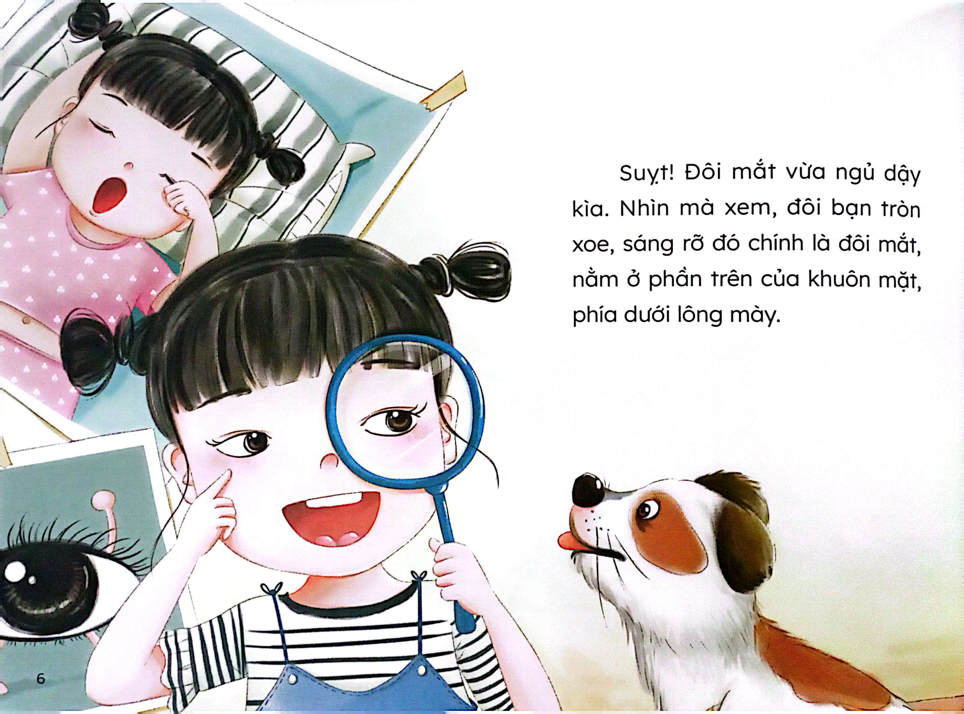 bí mật về cơ thể chúng mình - mắt sáng tinh nhanh - Ảnh 5