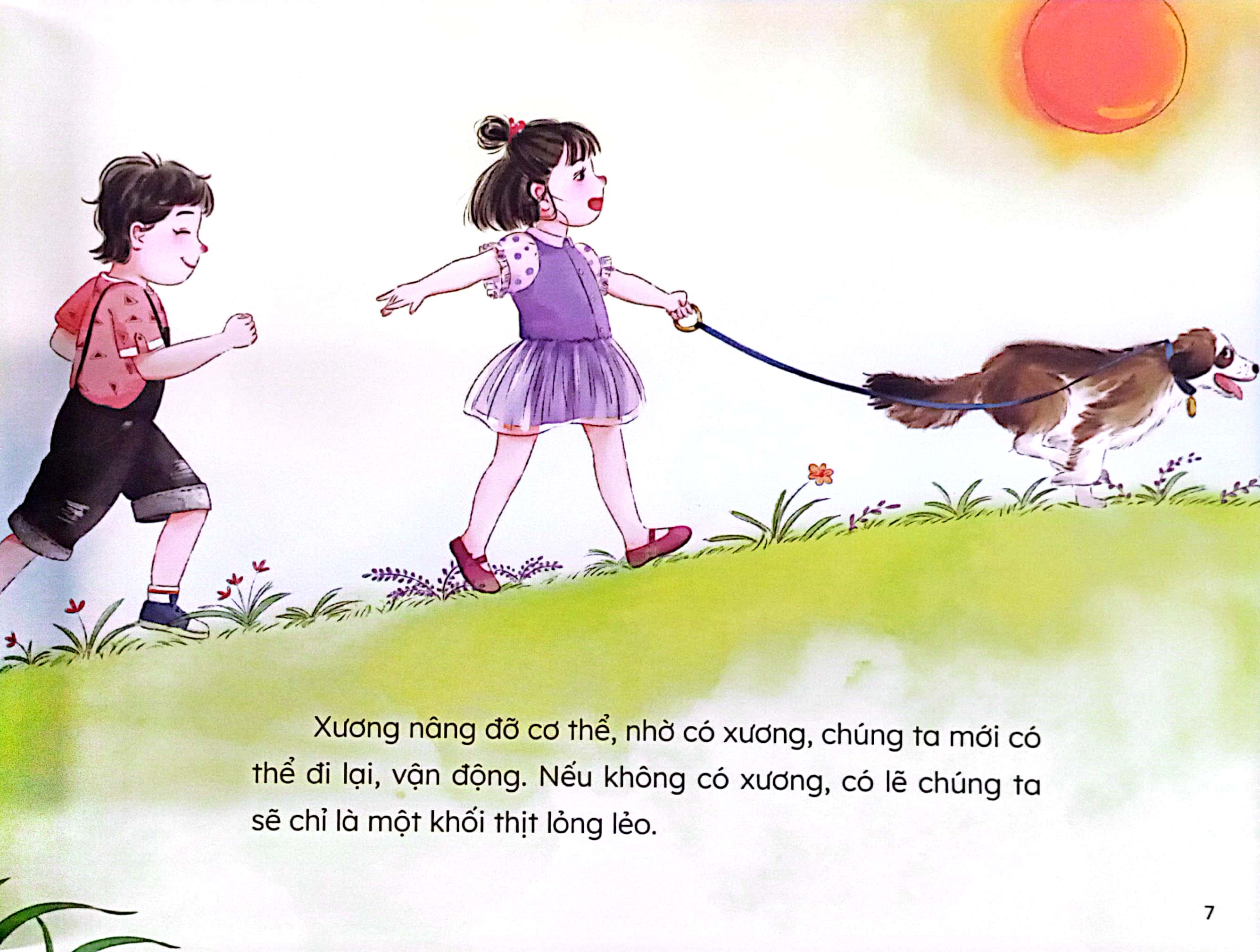 bí mật về cơ thể chúng mình - xương yêu vận động - Ảnh 6