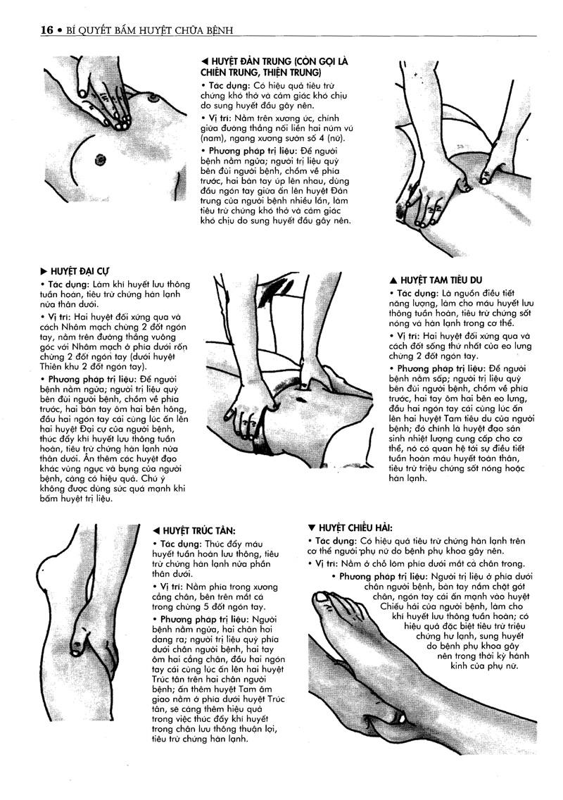 bí quyết bấm huyệt chữa bệnh (tái bản 2022) - Ảnh 11