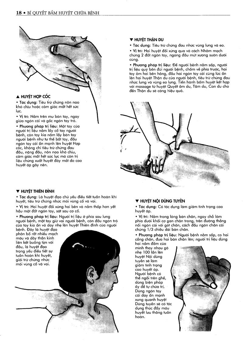 bí quyết bấm huyệt chữa bệnh (tái bản 2022) - Ảnh 13