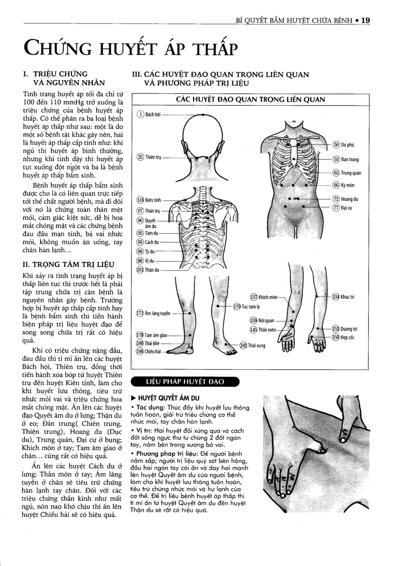 bí quyết bấm huyệt chữa bệnh (tái bản 2022) - Ảnh 14