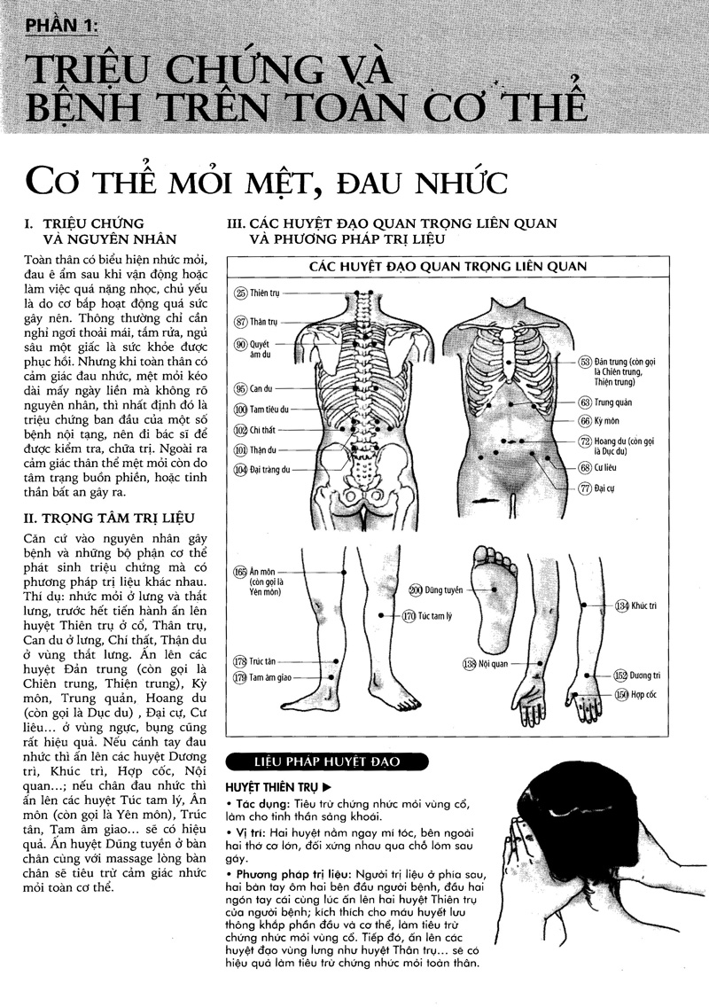bí quyết bấm huyệt chữa bệnh (tái bản 2022) - Ảnh 6