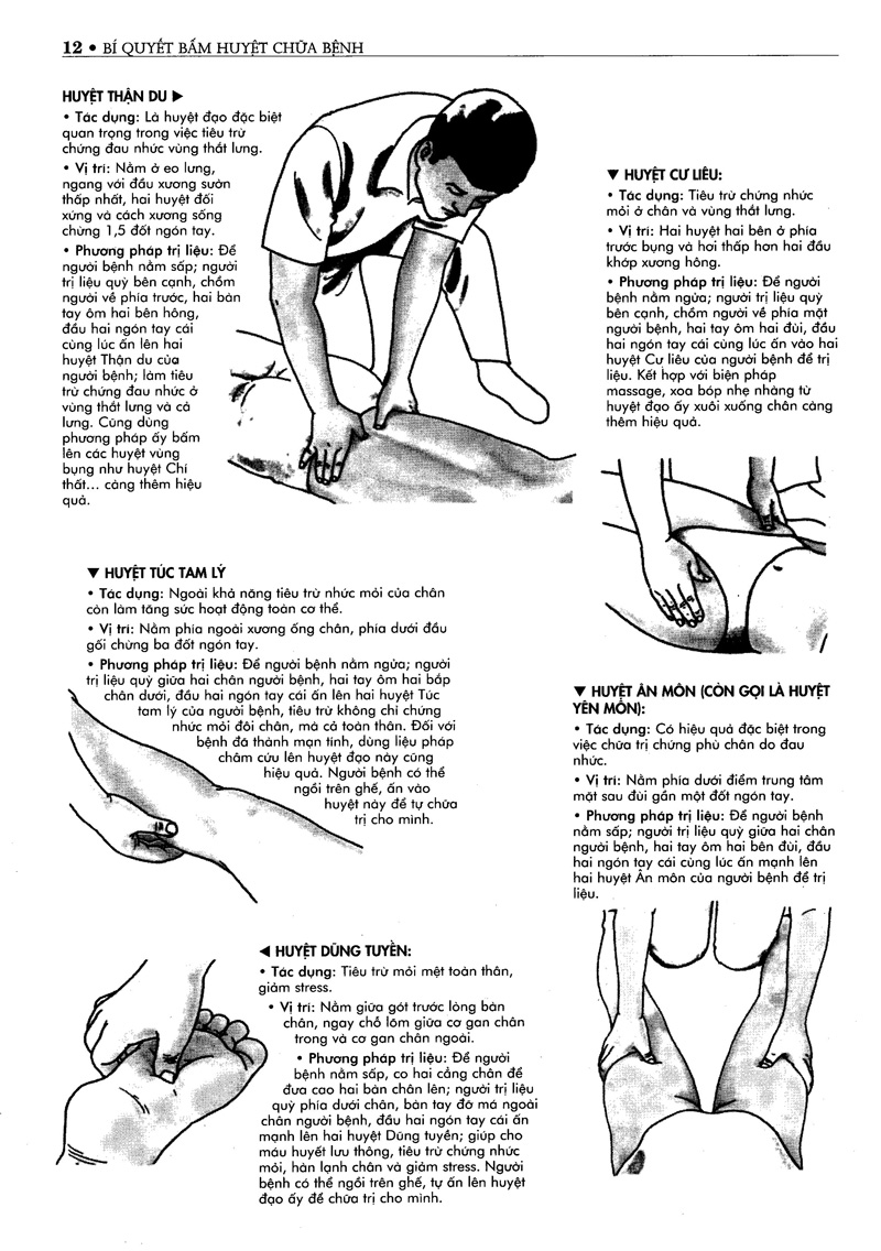 bí quyết bấm huyệt chữa bệnh (tái bản 2022) - Ảnh 7
