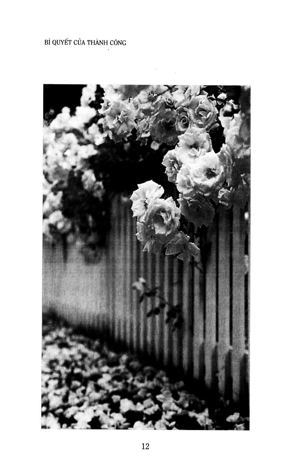 bí quyết của thành công (khổ lớn) (tái bản 2019) - Ảnh 14