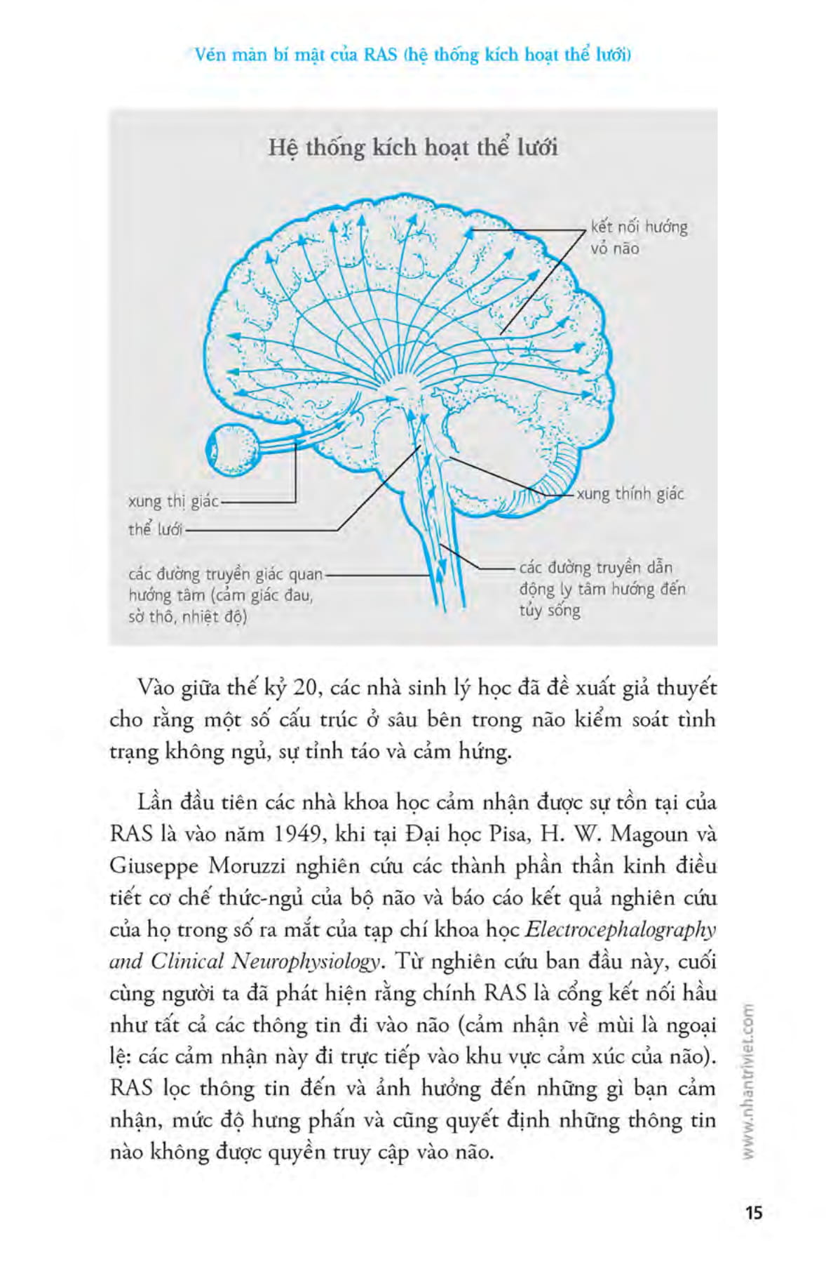 bí quyết để làm chủ cuộc đời và trở thành con người như bạn muốn - Ảnh 12