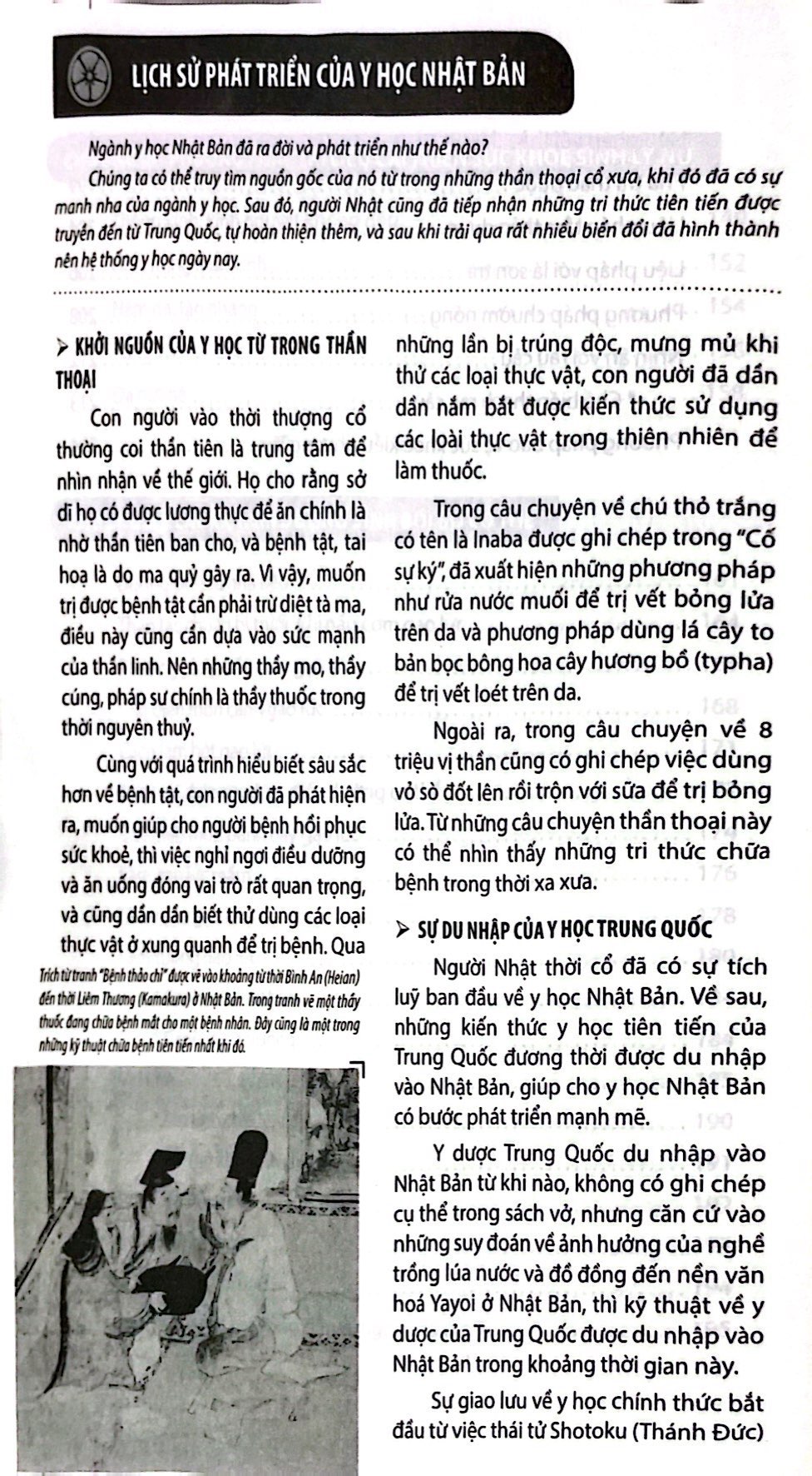 bí quyết dưỡng sinh trường thọ của người nhật bản - Ảnh 5