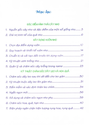 bí quyết thành công kĩ thuật trồng nho hiệu quả - Ảnh 4