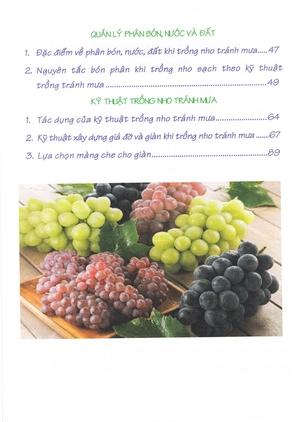 bí quyết thành công kĩ thuật trồng nho hiệu quả - Ảnh 5