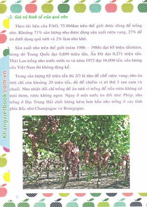 bí quyết thành công kĩ thuật trồng nho hiệu quả - Ảnh 9