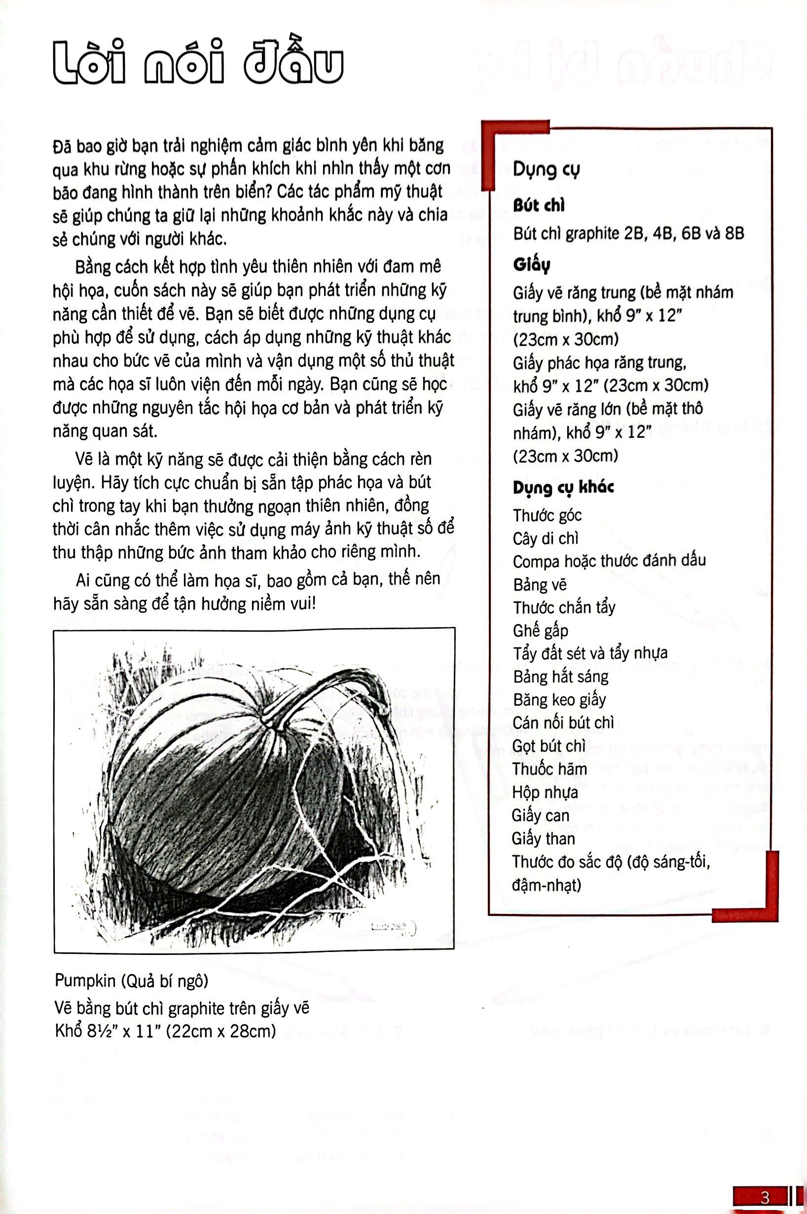 bí quyết vẽ phong cảnh tự nhiên - drawing nature for the absolute beginner (tái bản) - Ảnh 4