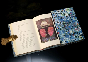 bỉ vỏ - ấn bản giới hạn - bìa da microfiber - Ảnh 14