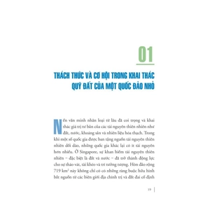 biên niên sử singapore về quy hoạch đô thị - Ảnh 5