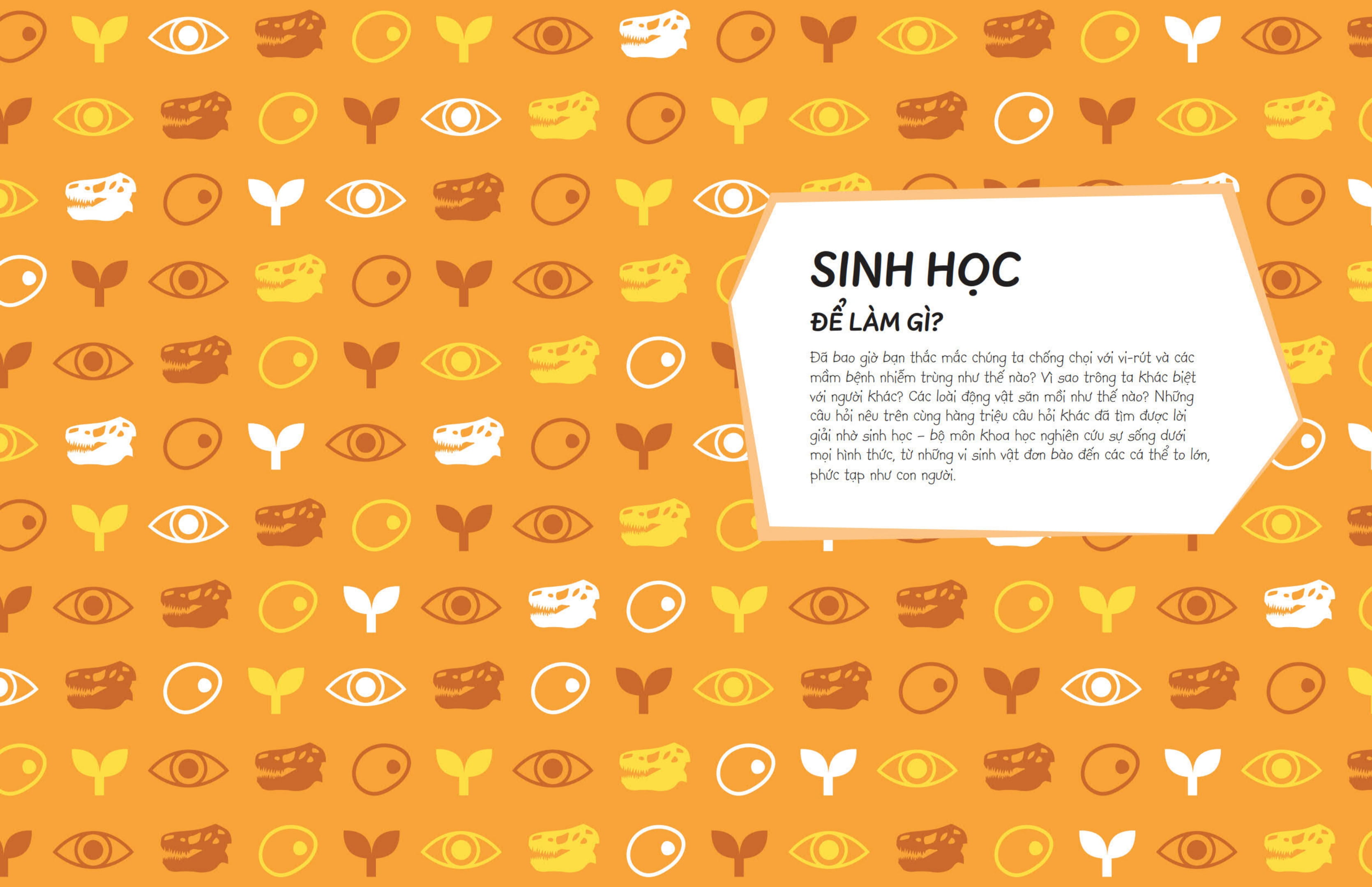 Biết Để Làm Gì? - Khoa Học Để Làm Gì? - Ảnh 5