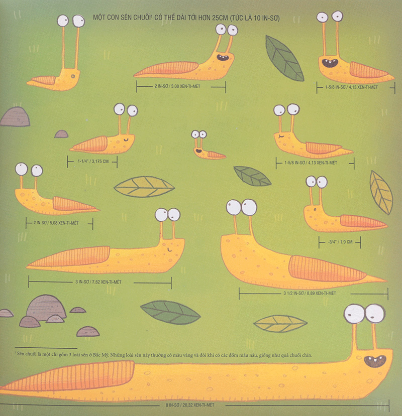 biết tuốt về đo lường - Ảnh 6