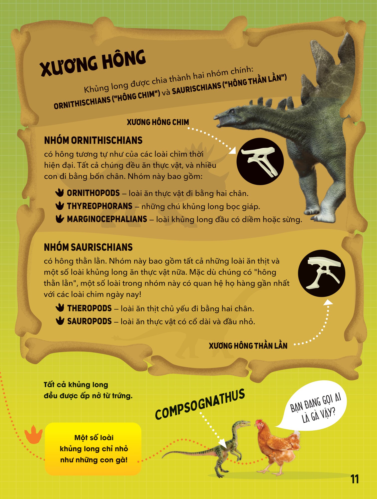 big bang - bách khoa và khám phá - thế giới khủng long - Ảnh 10