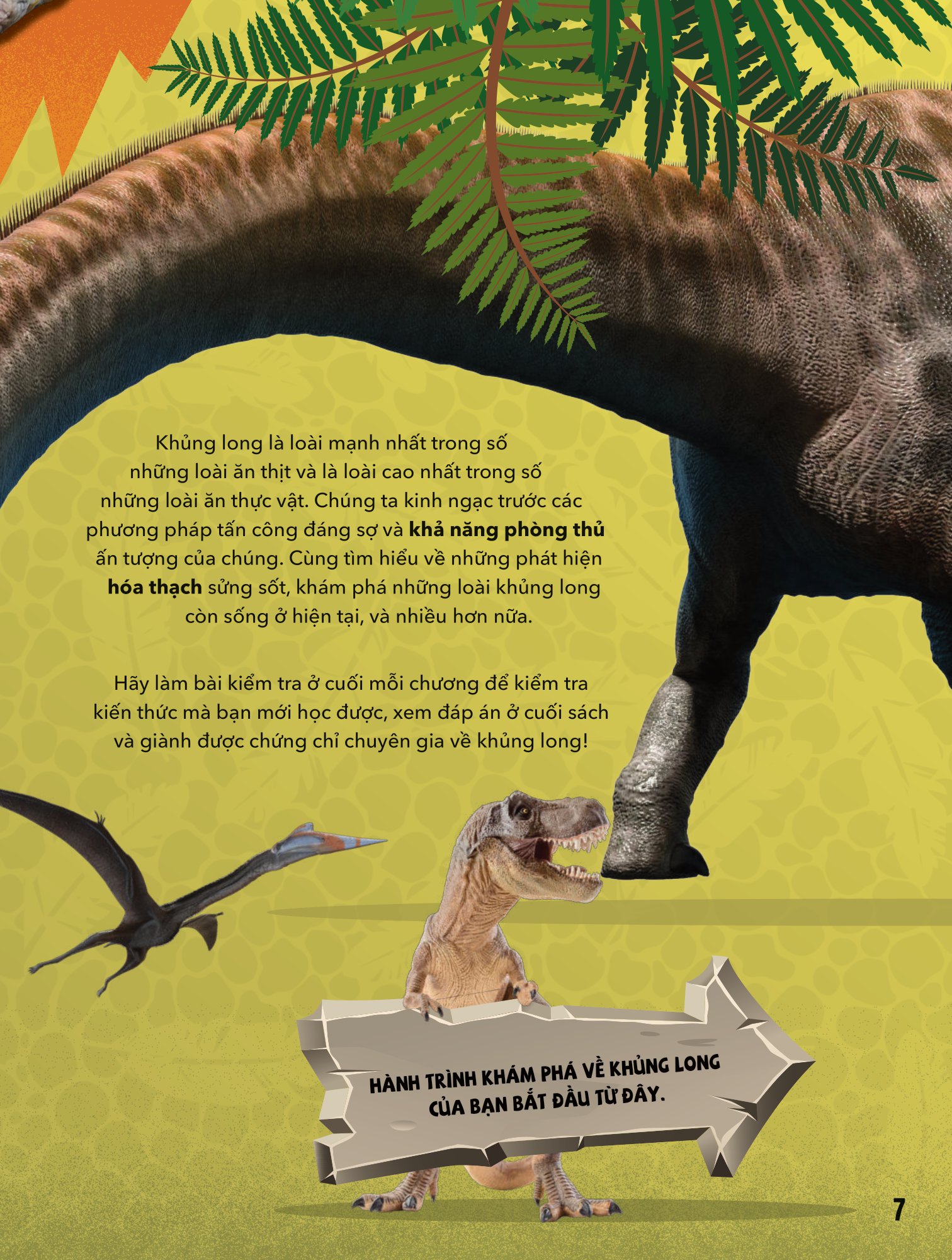 big bang - bách khoa và khám phá - thế giới khủng long - Ảnh 6