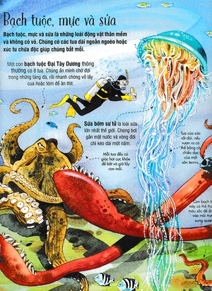 big book - cuốn sách khổng lồ về các loài động vật biển (tái bản) - Ảnh 13