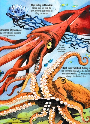 big book - cuốn sách khổng lồ về các loài động vật biển (tái bản) - Ảnh 14
