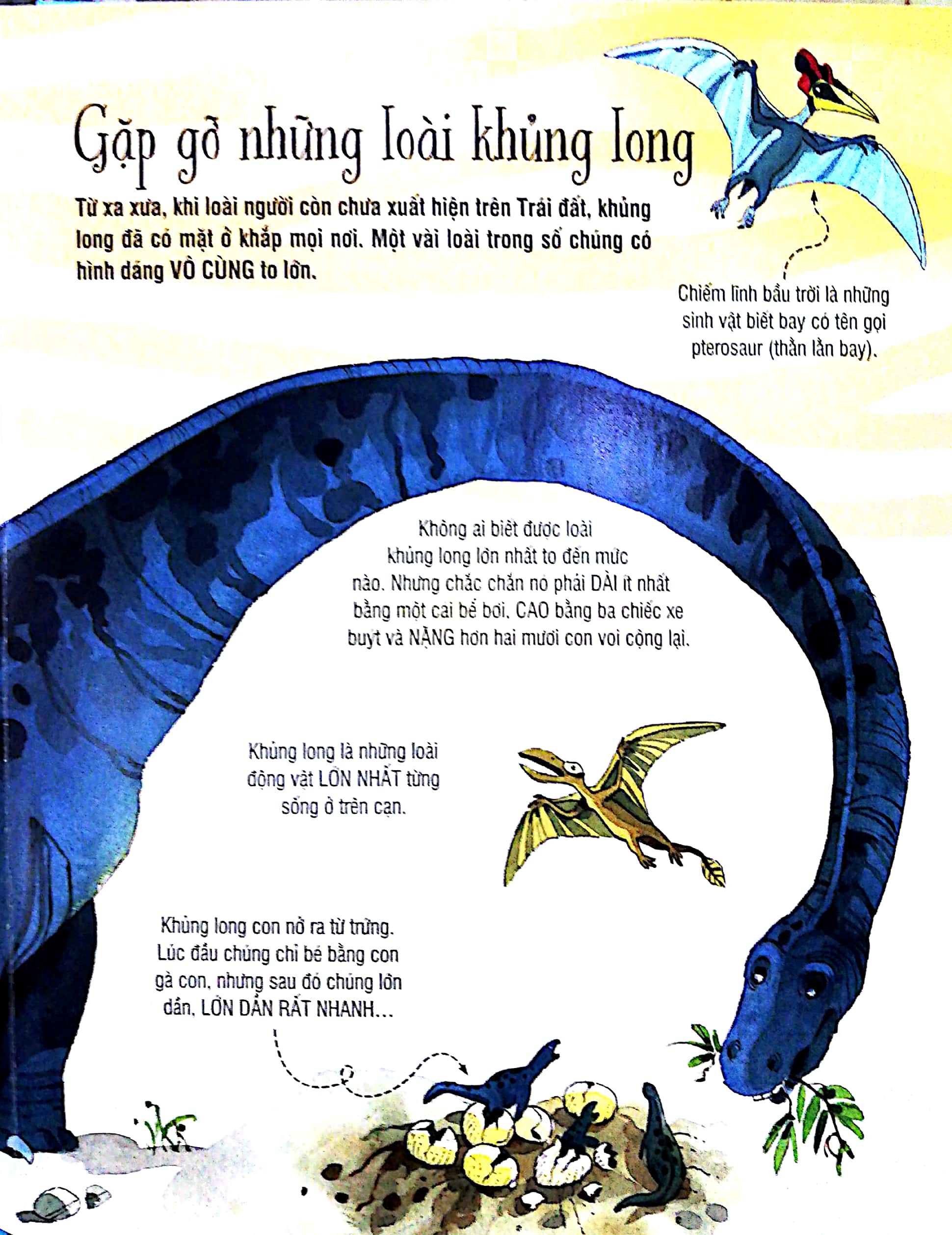 big book - cuốn sách khổng lồ về các loại khủng long (tái bản 2018) - Ảnh 2