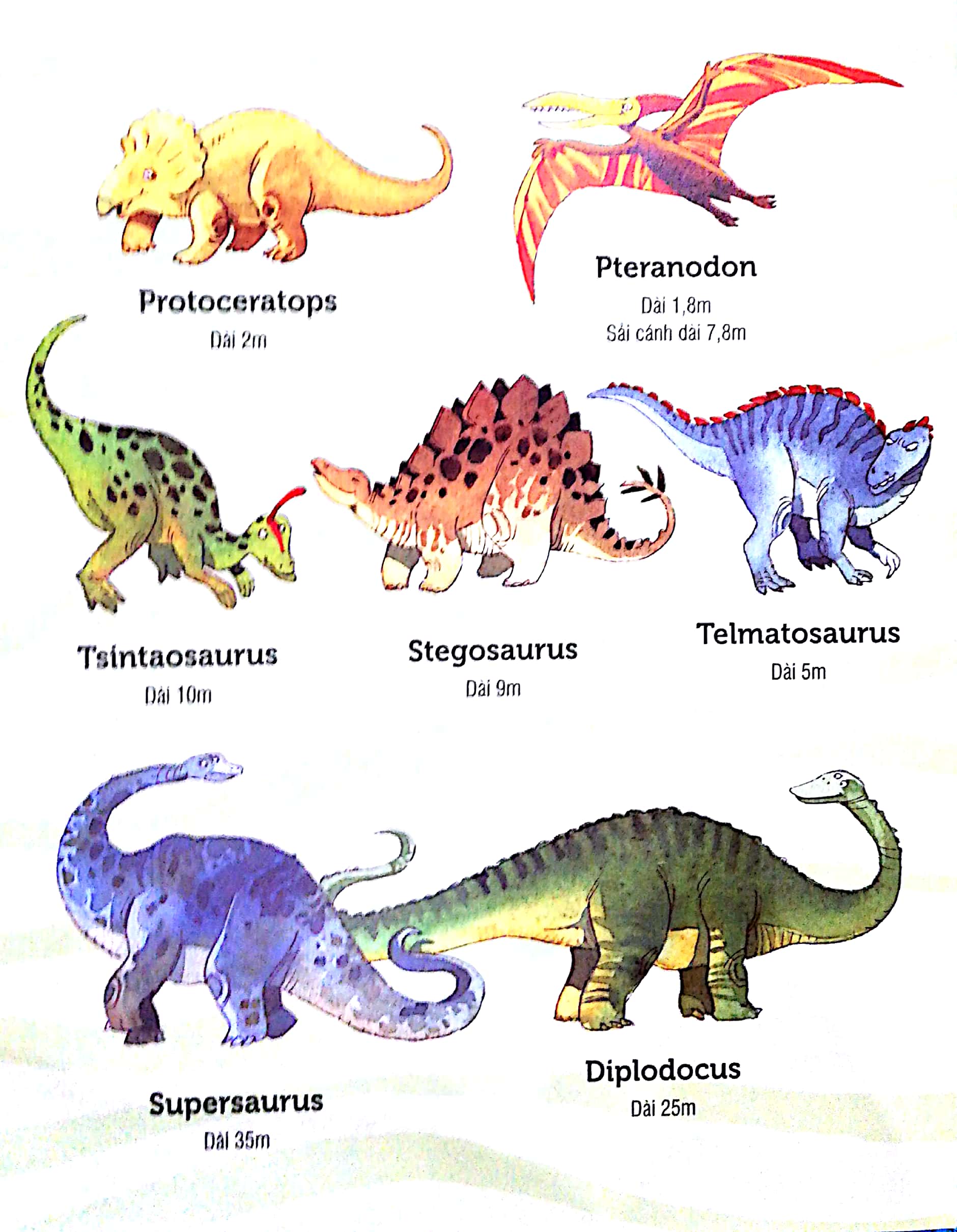 big book - cuốn sách khổng lồ về các loại khủng long (tái bản 2018) - Ảnh 4
