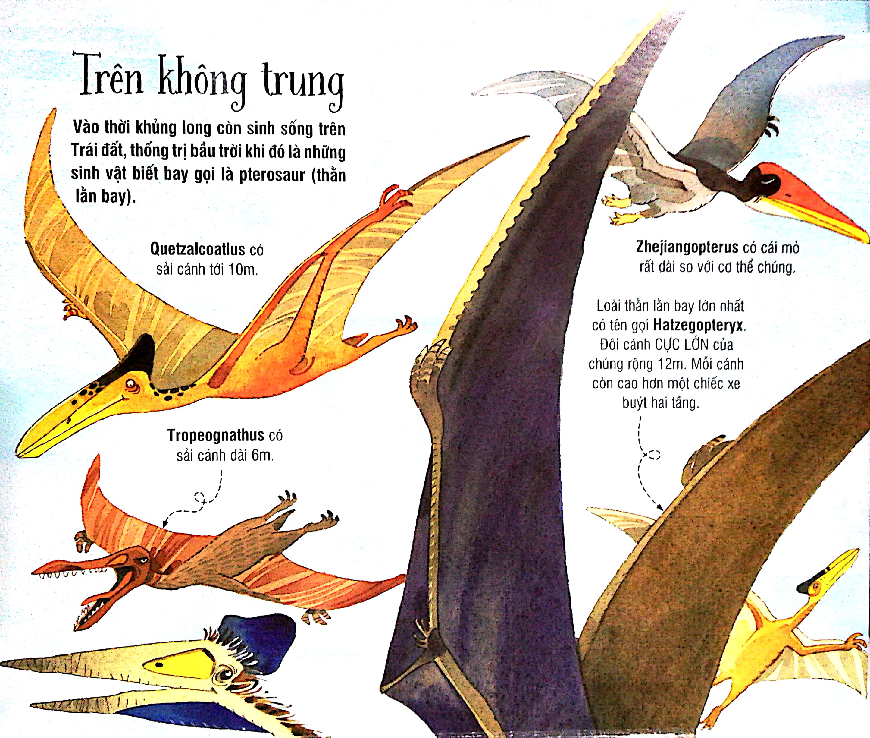 big book - cuốn sách khổng lồ về các loại khủng long (tái bản 2018) - Ảnh 5