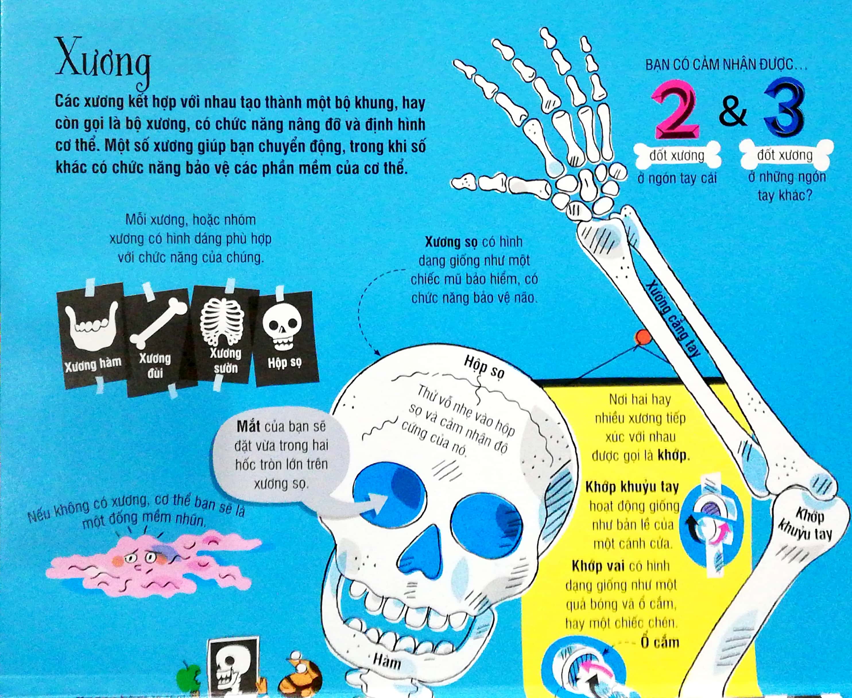 big book - cuốn sách khổng lồ về cơ thể người (tái bản) - Ảnh 4