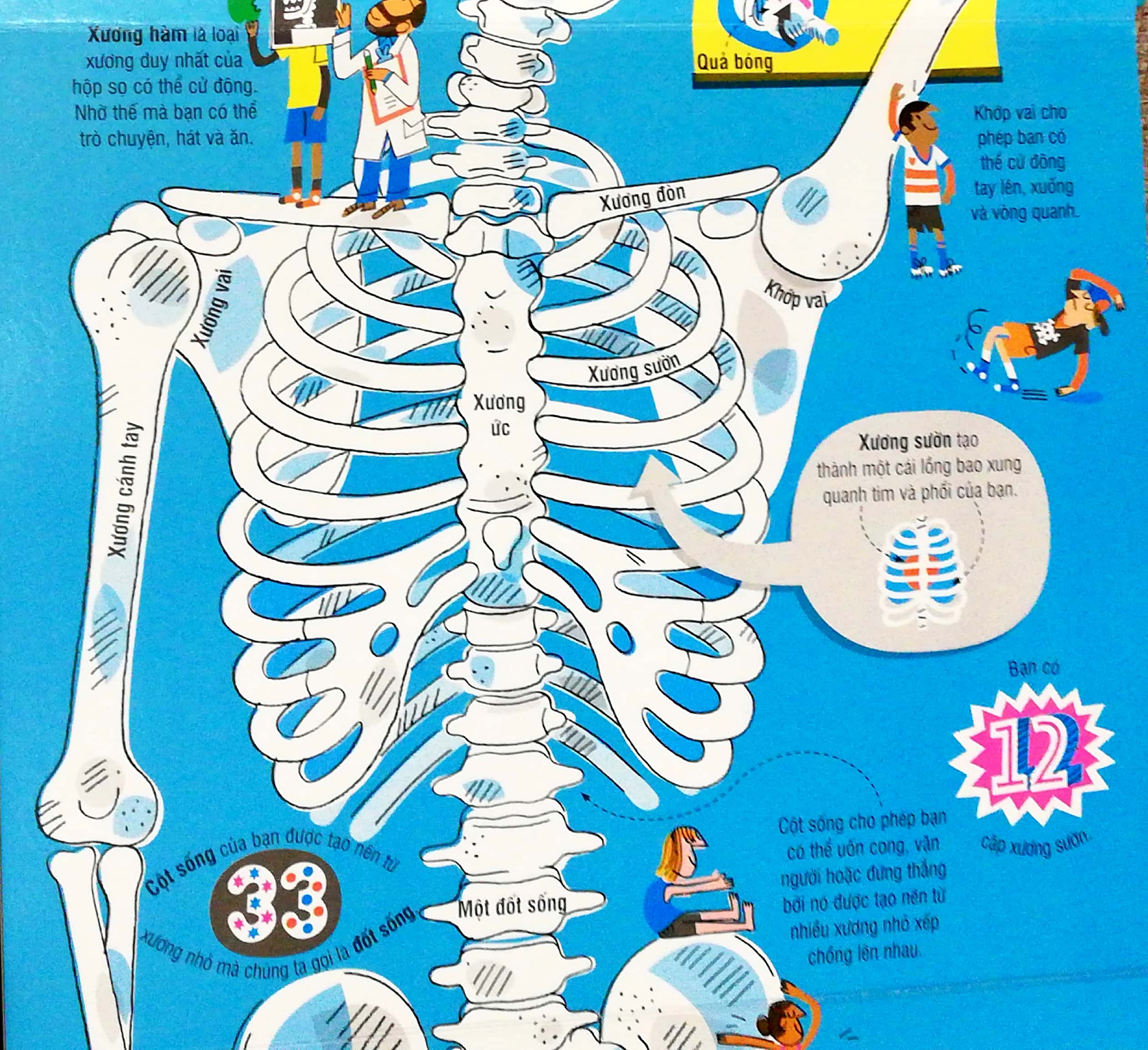 big book - cuốn sách khổng lồ về cơ thể người (tái bản) - Ảnh 5