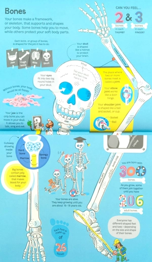 big book of the body - Ảnh 4