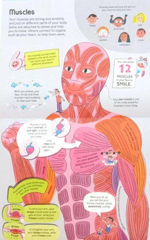 big book of the body - Ảnh 5