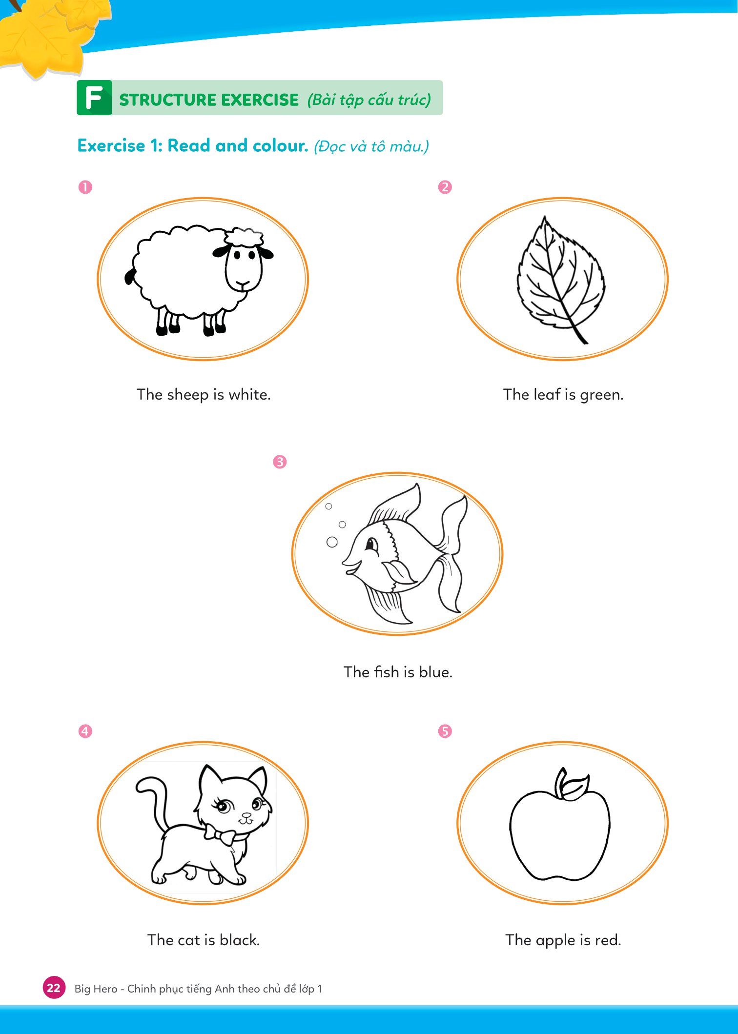 big hero - chinh phục tiếng anh theo chủ đề lớp 1 - Ảnh 13