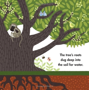 big ideas for little environmentalists: restoration with wangari maathai - Ảnh 8