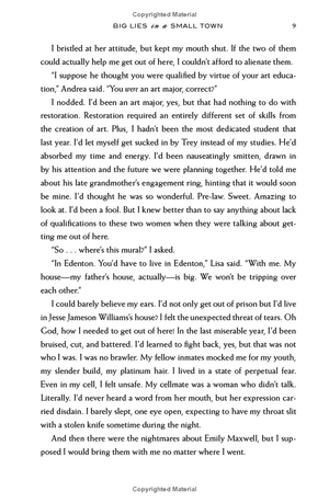 big lies in a small town - Ảnh 12