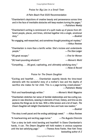 big lies in a small town - Ảnh 3