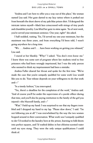 big lies in a small town - Ảnh 8