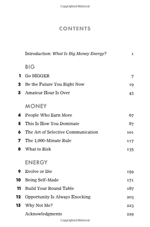 big money energy: how to rule at work, dominate at life, and make millions - Ảnh 5