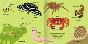 big words for little experts - animals - Ảnh 3